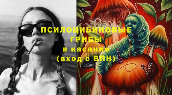 молекула духа Алзамай