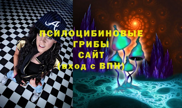 молекула духа Алзамай