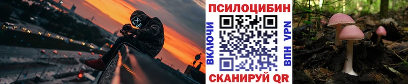 кракен онион  цена наркотик  Ишим  Галлюциногенные грибы Cubensis 